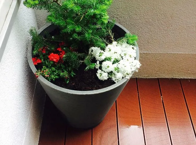 Apartment Piper Cytadela *